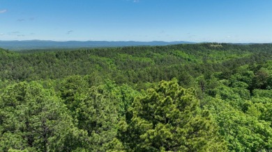 Lake Acreage For Sale in Mena, Arkansas