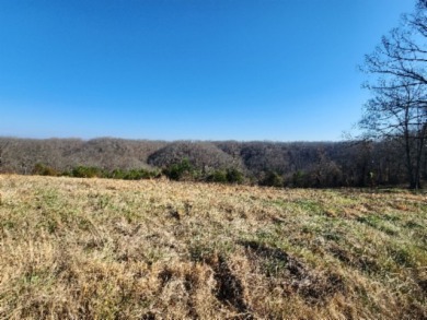 1.80 AC CLOSE TO CENTER HILL LAKE IN DEKALB CO, TN - photo 14