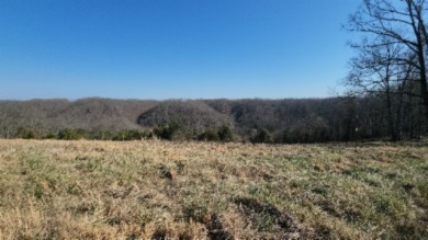 1.80 AC CLOSE TO CENTER HILL LAKE IN DEKALB CO, TN - photo 13