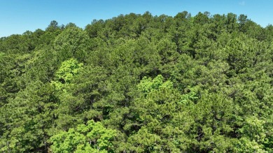 Lake Acreage For Sale in Mena, Arkansas