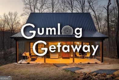 Lake Home For Sale in Lavonia, Georgia