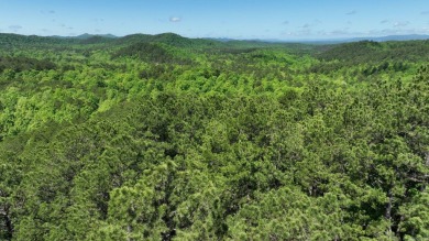 Lake Acreage For Sale in Mena, Arkansas