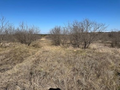 Lake Acreage For Sale in Graford, Texas