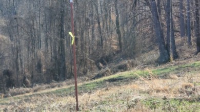1.80 AC CLOSE TO CENTER HILL LAKE IN DEKALB CO, TN - photo 12