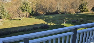 Remodeled in 2022, this pristine split-level home offers sublime - photo 43
