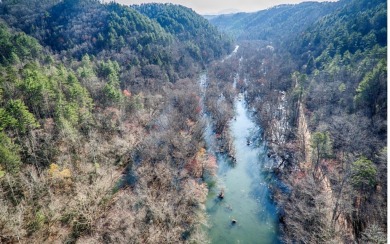 Hiwassee River Lot For Sale in Farner Tennessee