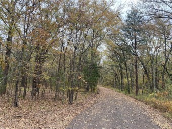 Wooded & remote off-the-grid 80 acres w/pond & creek! - Lake Acreage For Sale in Mount Vernon, Texas