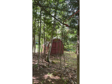 (265/DW) This is your chance to own a historic lake cabin in - photo 2