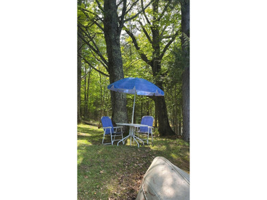 (265/DW) This is your chance to own a historic lake cabin in - photo 6