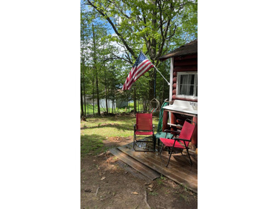 (265/DW) This is your chance to own a historic lake cabin in - photo 8