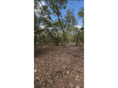 Bonable Lake Lot For Sale in Ocala Florida