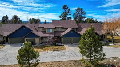Laura Daniels, Team Pagosa Realty Group, C:,,: Good size unit! - photo 15