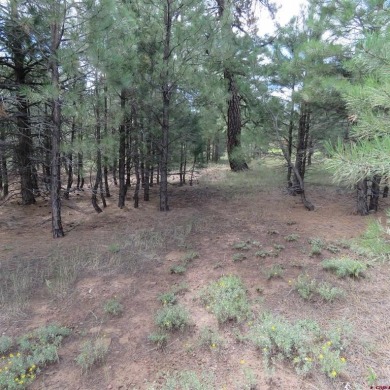 Hatcher Reservoir Lot For Sale in Pagosa Springs Colorado