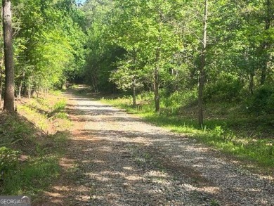 Lake Acreage For Sale in Talking Rock, Georgia