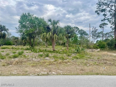 Lehigh Acres Area Lot For Sale in Lehigh Acres Florida