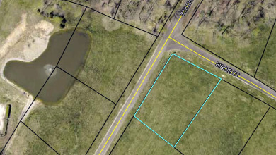 Lake Lot For Sale in Russell Springs, Kentucky
