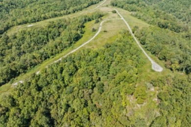 1.80 AC CLOSE TO CENTER HILL LAKE IN DEKALB CO, TN - photo 5