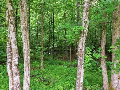 11.35 Acres | Springs | Pond | Creeks | Wildlife | Over 1,900 Sq - photo 26