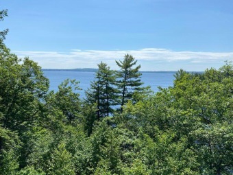 Sebago Lake Acreage For Sale in Raymond Maine