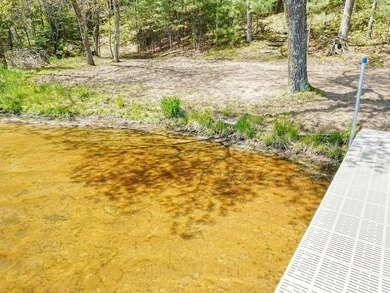 Tucked beneath a canopy of mature Northwoods hardwoods and pines - photo 2