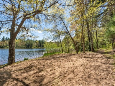 Tucked beneath a canopy of mature Northwoods hardwoods and pines - photo 4