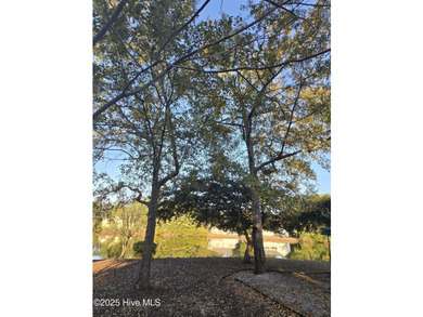Upgraded Premium 1 Yr Home Warranty Included! You'll love coming - photo 57