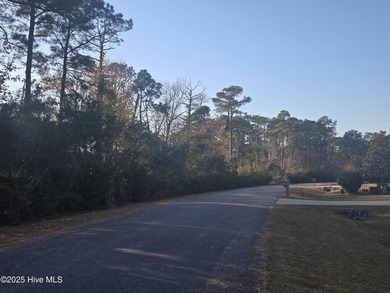 Upgraded Premium 1 Yr Home Warranty Included! You'll love coming - photo 60
