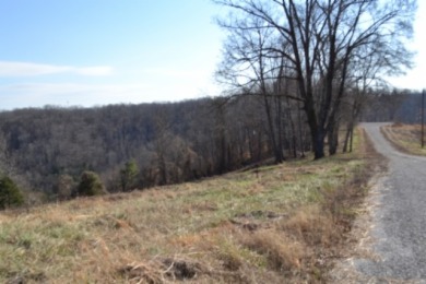 1.80 AC CLOSE TO CENTER HILL LAKE IN DEKALB CO, TN - photo 18
