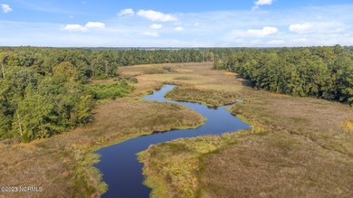 Bay River Acreage For Sale in Bayboro North Carolina