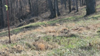 1.80 AC CLOSE TO CENTER HILL LAKE IN DEKALB CO, TN - photo 10