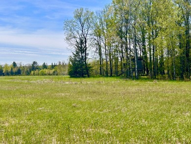 Wolf River Acreage Active Under Contract in White Lake Wisconsin