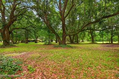 Situated on approximately 3.5 private acres in Long Beach, this - photo 13