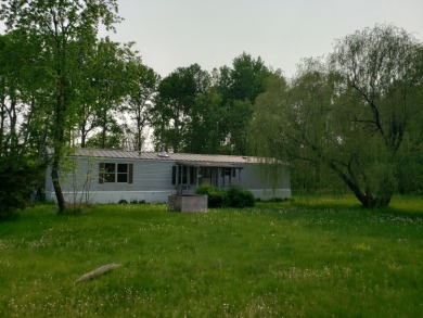 Home on Five Acre Setting-Pole Barn-Creek! - Lake Home For Sale in Lake, Michigan