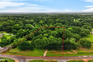 Situated on approximately 3.5 private acres in Long Beach, this - photo 42