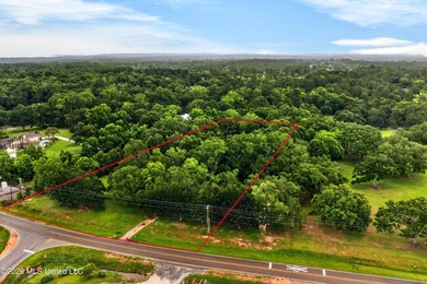 Situated on approximately 3.5 private acres in Long Beach, this - photo 43