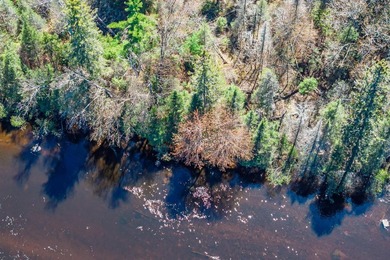 Bring your Northwoods dreams to life on this 1.12-acre buildable - photo 5