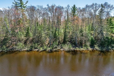 Wisconsin River - Vilas County Lot For Sale in Eagle River Wisconsin