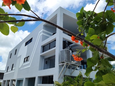 Dolphinus del Sol is a Waterfront Estate Masterpiece! Enjoy this - photo 2