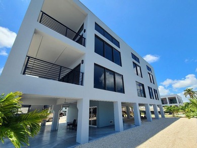 Dolphinus del Sol is a Waterfront Estate Masterpiece! Enjoy this - photo 3