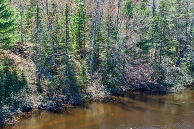 This 1.16-acre wooded parcel with 210 feet of frontage on the - photo 8