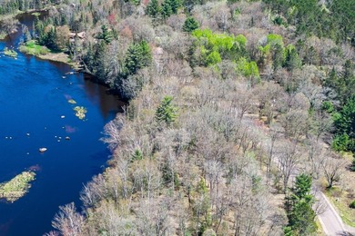 This 1.16-acre wooded parcel with 210 feet of frontage on the - photo 10
