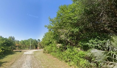 Lehigh Acres Area Lot For Sale in Lehigh Acres Florida
