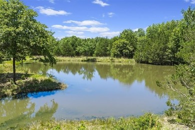 40 Acres with close access to Hwy 3. Land is partially wooded - photo 3