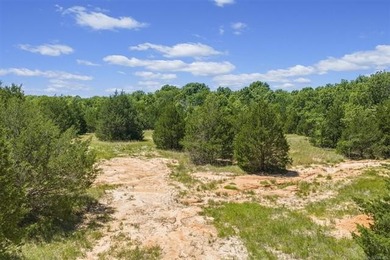 40 Acres with close access to Hwy 3. Land is partially wooded - photo 8