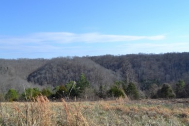 1.80 AC CLOSE TO CENTER HILL LAKE IN DEKALB CO, TN - photo 21