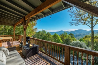 Mars Hill Reservoir Home For Sale in Mars Hill North Carolina