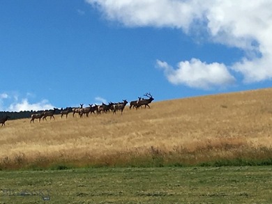 Held by the same family since 1871, the Chevallier Ranch - photo 38