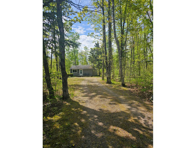 Star Lake - Oconto County Home Sale Pending in Mountain Wisconsin