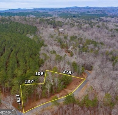 Lake Lot For Sale in Ellijay, Georgia