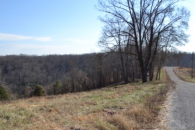 1.80 AC CLOSE TO CENTER HILL LAKE IN DEKALB CO, TN - photo 19